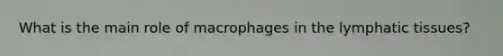 What is the main role of macrophages in the lymphatic tissues?