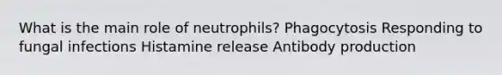 What is the main role of neutrophils? Phagocytosis Responding to fungal infections Histamine release Antibody production