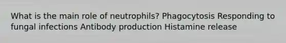 What is the main role of neutrophils? Phagocytosis Responding to fungal infections Antibody production Histamine release