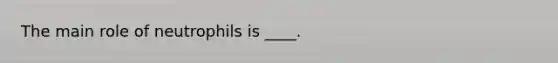 The main role of neutrophils is ____.