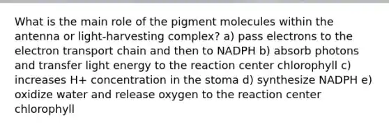 What is the main role of the pigment molecules within the antenna or light-harvesting complex? a) pass electrons to the electron transport chain and then to NADPH b) absorb photons and transfer light energy to the reaction center chlorophyll c) increases H+ concentration in the stoma d) synthesize NADPH e) oxidize water and release oxygen to the reaction center chlorophyll