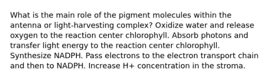 What is the main role of the pigment molecules within the antenna or light-harvesting complex? Oxidize water and release oxygen to the reaction center chlorophyll. Absorb photons and transfer light energy to the reaction center chlorophyll. Synthesize NADPH. Pass electrons to the electron transport chain and then to NADPH. Increase H+ concentration in the stroma.