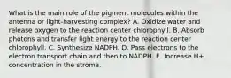 What is the main role of the pigment molecules within the antenna or light-harvesting complex? A. Oxidize water and release oxygen to the reaction center chlorophyll. B. Absorb photons and transfer light energy to the reaction center chlorophyll. C. Synthesize NADPH. D. Pass electrons to the electron transport chain and then to NADPH. E. Increase H+ concentration in the stroma.