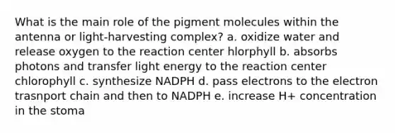 What is the main role of the pigment molecules within the antenna or light-harvesting complex? a. oxidize water and release oxygen to the reaction center hlorphyll b. absorbs photons and transfer light energy to the reaction center chlorophyll c. synthesize NADPH d. pass electrons to the electron trasnport chain and then to NADPH e. increase H+ concentration in the stoma