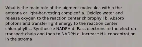 What is the main role of the pigment molecules within the antenna or light-harvesting complex? a. Oxidize water and release oxygen to the reaction center chlorophyll b. Absorb photons and transfer light energy to the reaction center chlorophyll c. Synthesize NADPH d. Pass electrons to the electron transport chain and then to NADPH e. Increase H+ concentration in the stroma