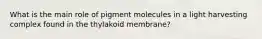 What is the main role of pigment molecules in a light harvesting complex found in the thylakoid membrane?