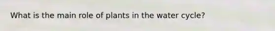What is the main role of plants in the water cycle?