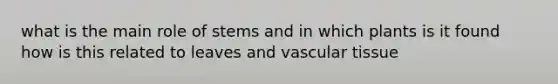 what is the main role of stems and in which plants is it found how is this related to leaves and <a href='https://www.questionai.com/knowledge/k1HVFq17mo-vascular-tissue' class='anchor-knowledge'>vascular tissue</a>