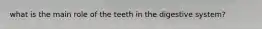 what is the main role of the teeth in the digestive system?