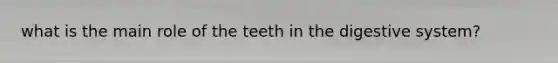 what is the main role of the teeth in the digestive system?