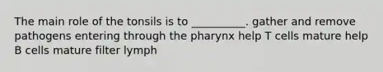 The main role of the tonsils is to __________. gather and remove pathogens entering through the pharynx help T cells mature help B cells mature filter lymph