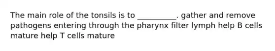 The main role of the tonsils is to __________. gather and remove pathogens entering through the pharynx filter lymph help B cells mature help T cells mature