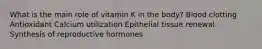 What is the main role of vitamin K in the body? Blood clotting Antioxidant Calcium utilization Epithelial tissue renewal Synthesis of reproductive hormones