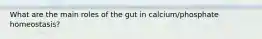 What are the main roles of the gut in calcium/phosphate homeostasis?