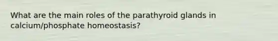 What are the main roles of the parathyroid glands in calcium/phosphate homeostasis?