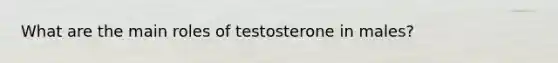 What are the main roles of testosterone in males?