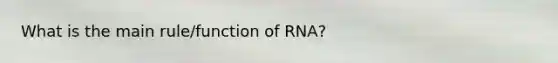 What is the main rule/function of RNA?