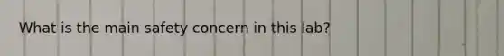 What is the main safety concern in this lab?