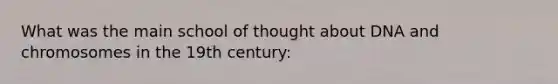 What was the main school of thought about DNA and chromosomes in the 19th century: