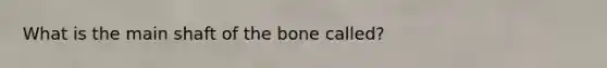 What is the main shaft of the bone called?