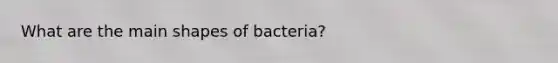 What are the main shapes of bacteria?