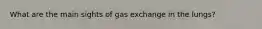 What are the main sights of gas exchange in the lungs?