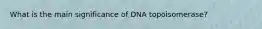 What is the main significance of DNA topoisomerase?