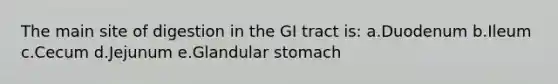 The main site of digestion in the GI tract is: a.Duodenum b.Ileum c.Cecum d.Jejunum e.Glandular stomach