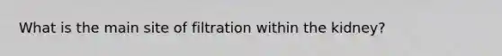 What is the main site of filtration within the kidney?