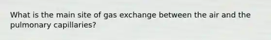 What is the main site of <a href='https://www.questionai.com/knowledge/kU8LNOksTA-gas-exchange' class='anchor-knowledge'>gas exchange</a> between the air and the pulmonary capillaries?