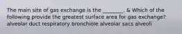 The main site of gas exchange is the ________. & Which of the following provide the greatest surface area for gas exchange? alveolar duct respiratory bronchiole alveolar sacs alveoli