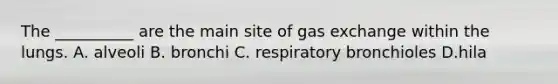 The __________ are the main site of gas exchange within the lungs. A. alveoli B. bronchi C. respiratory bronchioles D.hila