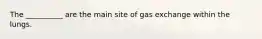 The __________ are the main site of gas exchange within the lungs.