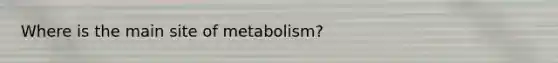 Where is the main site of metabolism?