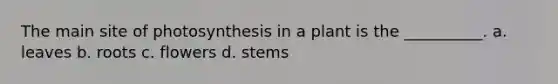 The main site of photosynthesis in a plant is the __________. a. leaves b. roots c. flowers d. stems