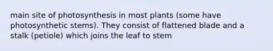 main site of photosynthesis in most plants (some have photosynthetic stems). They consist of flattened blade and a stalk (petiole) which joins the leaf to stem