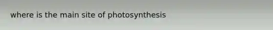 where is the main site of photosynthesis