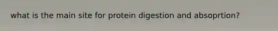 what is the main site for protein digestion and absoprtion?