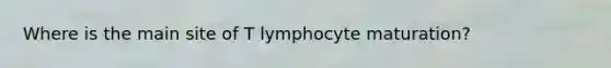 Where is the main site of T lymphocyte maturation?