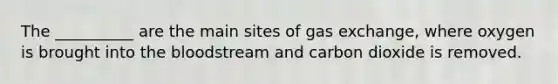 The __________ are the main sites of gas exchange, where oxygen is brought into the bloodstream and carbon dioxide is removed.