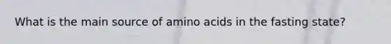 What is the main source of amino acids in the fasting state?