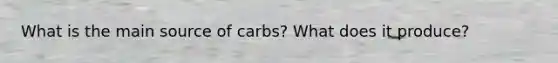 What is the main source of carbs? What does it produce?