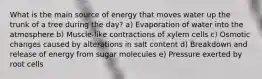 What is the main source of energy that moves water up the trunk of a tree during the day? a) Evaporation of water into the atmosphere b) Muscle-like contractions of xylem cells c) Osmotic changes caused by alterations in salt content d) Breakdown and release of energy from sugar molecules e) Pressure exerted by root cells