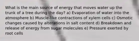 What is the main source of energy that moves water up the trunk of a tree during the day? a) Evaporation of water into the atmosphere b) Muscle-like contractions of xylem cells c) Osmotic changes caused by alterations in salt content d) Breakdown and release of energy from sugar molecules e) Pressure exerted by root cells