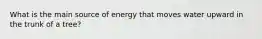 What is the main source of energy that moves water upward in the trunk of a tree?