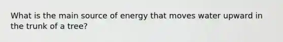 What is the main source of energy that moves water upward in the trunk of a tree?