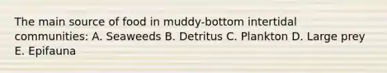 The main source of food in muddy-bottom intertidal communities: A. Seaweeds B. Detritus C. Plankton D. Large prey E. Epifauna