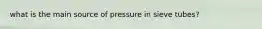 what is the main source of pressure in sieve tubes?