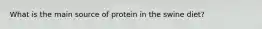 What is the main source of protein in the swine diet?