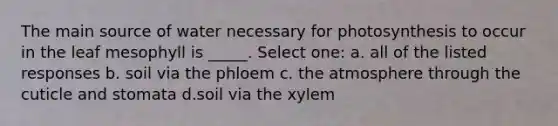 The main source of water necessary for photosynthesis to occur in the leaf mesophyll is _____. Select one: a. all of the listed responses b. soil via the phloem c. the atmosphere through the cuticle and stomata d.soil via the xylem